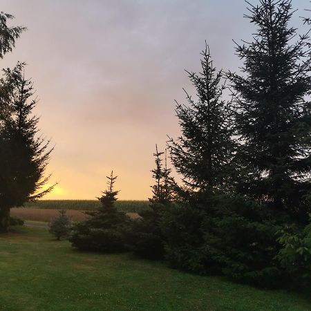 Hygge House Villa Zator Eksteriør bilde