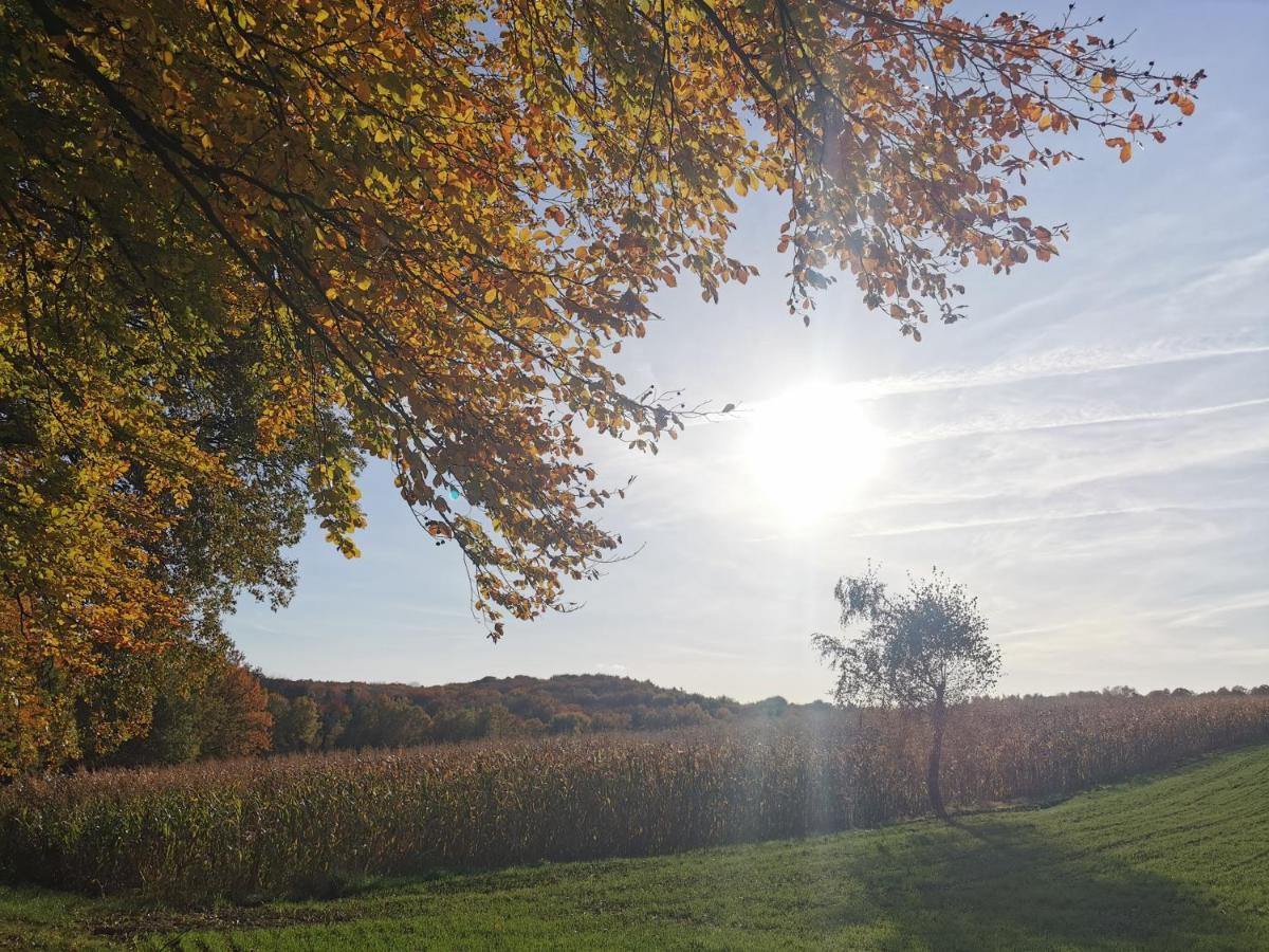 Hygge House Villa Zator Eksteriør bilde