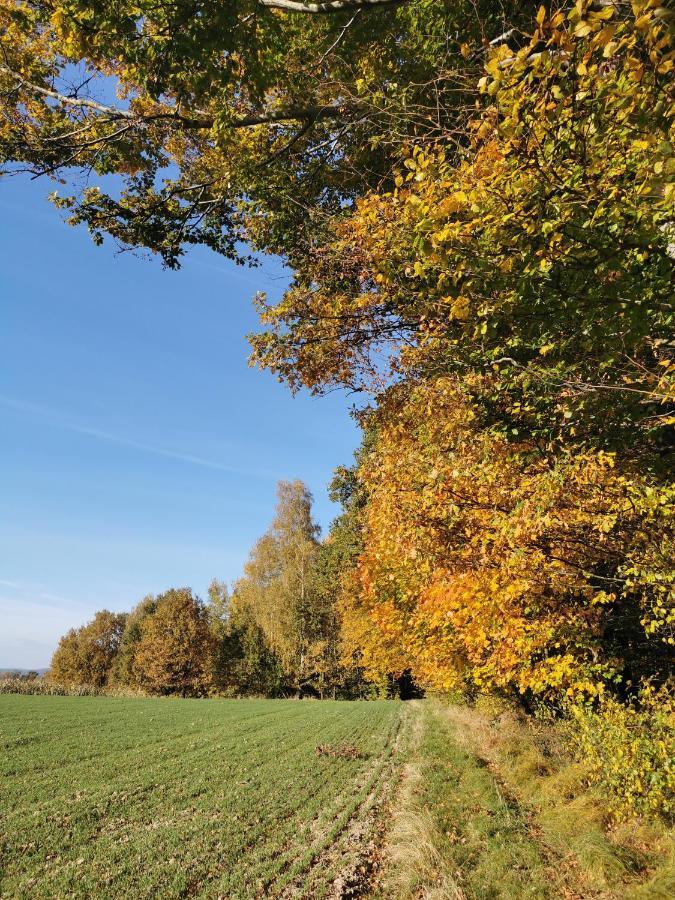 Hygge House Villa Zator Eksteriør bilde